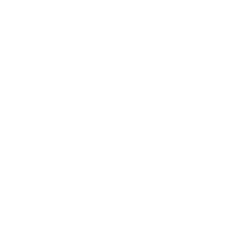 CHAUVET Professional